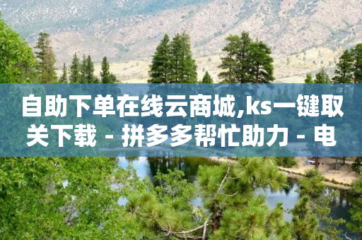 自助下单在线云商城,ks一键取关下载 - 拼多多帮忙助力 - 电脑端怎么助力拼多多-第1张图片-靖非智能科技传媒