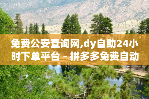 免费公安查询网,dy自助24小时下单平台 - 拼多多免费自动刷刀软件 - 拼多多成功700元照片