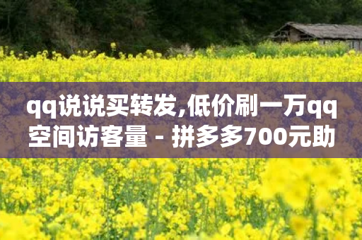 qq说说买转发,低价刷一万qq空间访客量 - 拼多多700元助力需要多少人 - 仅差10积分需要拉多少好友