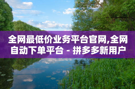 全网最低价业务平台官网,全网自动下单平台 - 拼多多新用户助力网站免费 - 拉人头助力脚本