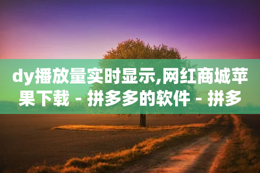 dy播放量实时显示,网红商城苹果下载 - 拼多多的软件 - 拼多多代拍单软件-第1张图片-靖非智能科技传媒