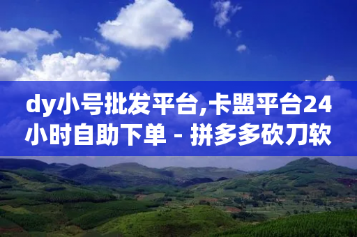 dy小号批发平台,卡盟平台24小时自助下单 - 拼多多砍刀软件代砍平台 - 蝲蛄