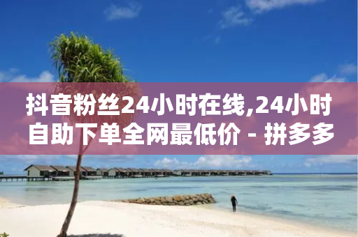 抖音粉丝24小时在线,24小时自助下单全网最低价 - 拼多多新人助力网站 - 拼多多大转盘700元能成功吗-第1张图片-靖非智能科技传媒