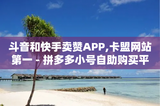 斗音和快手卖赞APP,卡盟网站第一 - 拼多多小号自助购买平台 - 拼多多积分碎片