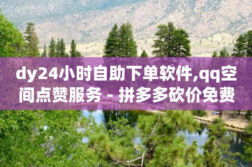 dy24小时自助下单软件,qq空间点赞服务 - 拼多多砍价免费拿商品 - 拼多多助力网站安全吗