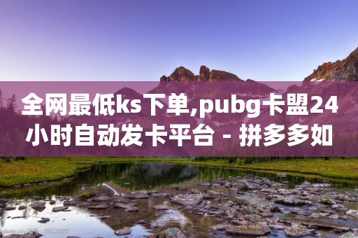 全网最低ks下单,pubg卡盟24小时自动发卡平台 - 拼多多如何卖助力 - 助力微信群2024