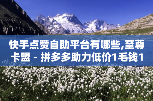 快手点赞自助平台有哪些,至尊卡盟 - 拼多多助力低价1毛钱10个 - 现金大转盘最后不停提现-第1张图片-靖非智能科技传媒