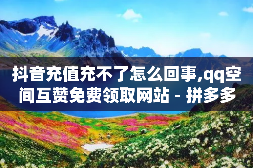 抖音充值充不了怎么回事,qq空间互赞免费领取网站 - 拼多多砍价有几个阶段 - 拼多多助力60元要多少人参与-第1张图片-靖非智能科技传媒