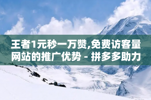 王者1元秒一万赞,免费访客量网站的推广优势 - 拼多多助力一元十刀网页 - 拼多多海外版temu入驻费用