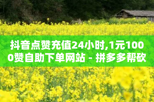 抖音点赞充值24小时,1元1000赞自助下单网站 - 拼多多帮砍 - 拼多多账号批量购买-第1张图片-靖非智能科技传媒