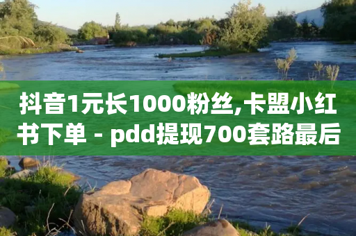 抖音1元长1000粉丝,卡盟小红书下单 - pdd提现700套路最后一步 - 拼多多提现700步骤