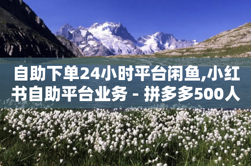 自助下单24小时平台闲鱼,小红书自助平台业务 - 拼多多500人互助群免费 - 2023拼多多电商占有率