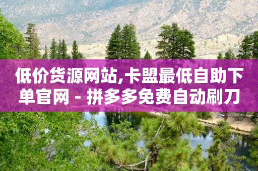 低价货源网站,卡盟最低自助下单官网 - 拼多多免费自动刷刀软件 - 拼多多查看是否助力别人成功-第1张图片-靖非智能科技传媒