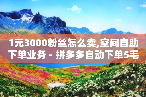 1元3000粉丝怎么卖,空间自助下单业务 - 拼多多自动下单5毛脚本下载 - 拼多多官方运营课程-第1张图片-靖非智能科技传媒