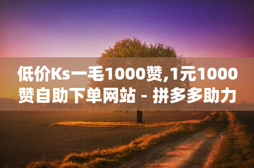 低价Ks一毛1000赞,1元1000赞自助下单网站 - 拼多多助力网站在线刷便宜 - 怎样用qq助力拼多多好友-第1张图片-靖非智能科技传媒