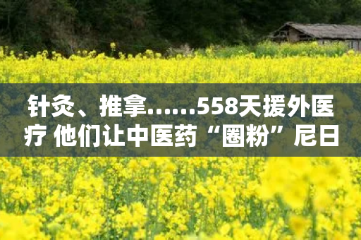 针灸、推拿……558天援外医疗 他们让中医药“圈粉”尼日尔-第1张图片-靖非智能科技传媒