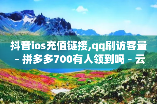 抖音ios充值链接,qq刷访客量 - 拼多多700有人领到吗 - 云闪付助力链接怎么弄-第1张图片-靖非智能科技传媒