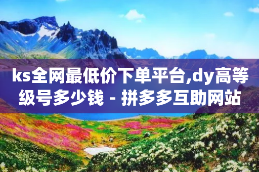 ks全网最低价下单平台,dy高等级号多少钱 - 拼多多互助网站在线刷0.1 - 新出项目平台发布网