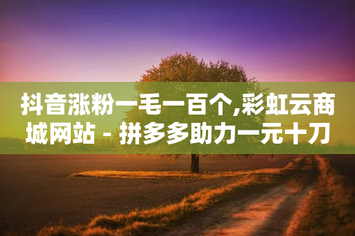 抖音涨粉一毛一百个,彩虹云商城网站 - 拼多多助力一元十刀网页 - 拼多多代砍助力可靠吗-第1张图片-靖非智能科技传媒