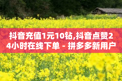 抖音充值1元10钻,抖音点赞24小时在线下单 - 拼多多新用户助力网站免费 - 拼多多元宝后面又是什么