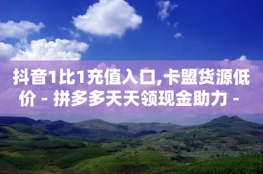 抖音1比1充值入口,卡盟货源低价 - 拼多多天天领现金助力 - 拼多多模拟器token