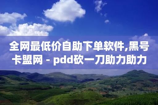 全网最低价自助下单软件,黑号卡盟网 - pdd砍一刀助力助力平台官网 - 如何看拼多多好友-第1张图片-靖非智能科技传媒