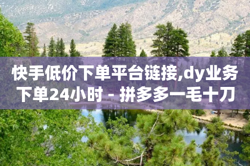 快手低价下单平台链接,dy业务下单24小时 - 拼多多一毛十刀平台 - 助力平台