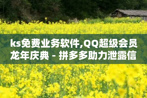 ks免费业务软件,QQ超级会员龙年庆典 - 拼多多助力泄露信息真的假的 - 拼多多1个元宝