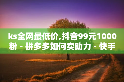 ks全网最低价,抖音99元1000粉 - 拼多多如何卖助力 - 快手扫码任务遮住的四个字新