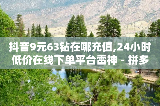 抖音9元63钻在哪充值,24小时低价在线下单平台雷神 - 拼多多现金助力群免费群 - 拼多多差0点2个碎片怎么办-第1张图片-靖非智能科技传媒