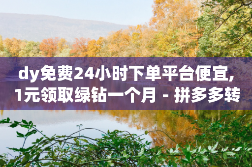 dy免费24小时下单平台便宜,1元领取绿钻一个月 - 拼多多转盘助力 - pindd拼多多客服人工电话