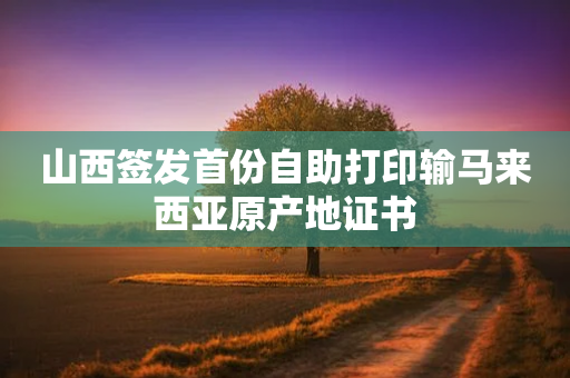 山西签发首份自助打印输马来西亚原产地证书-第1张图片-靖非智能科技传媒