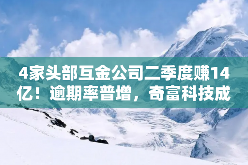 4家头部互金公司二季度赚14亿！逾期率普增，奇富科技成“利润王”