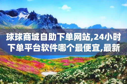 球球商城自助下单网站,24小时下单平台软件哪个最便宜,最新答案解释落实 _ iPhone54.67.145-第1张图片-靖非智能科技传媒