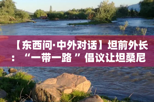 【东西问·中外对话】坦前外长：“一带一路 ”倡议让坦桑尼亚受益匪浅，惠及世界-第1张图片-靖非智能科技传媒