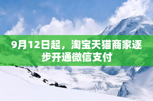 9月12日起，淘宝天猫商家逐步开通微信支付-第1张图片-靖非智能科技传媒