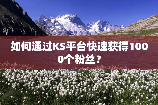 如何通过KS平台快速获得1000个粉丝？-第1张图片-靖非智能科技传媒