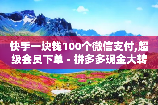 快手一块钱100个微信支付,超级会员下单 - 拼多多现金大转盘刷助力网站免费 - 拼多多是否会暴露个人信息-第1张图片-靖非智能科技传媒