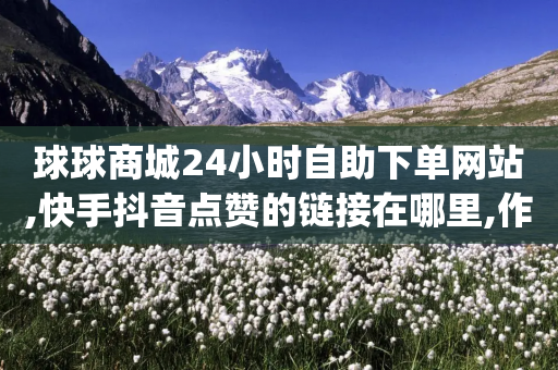 球球商城24小时自助下单网站,快手抖音点赞的链接在哪里,作答解释落实 _ IOS89.32.117