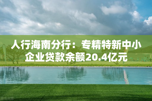 人行海南分行：专精特新中小企业贷款余额20.4亿元-第1张图片-靖非智能科技传媒