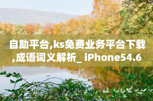 自助平台,ks免费业务平台下载,成语词义解析_ iPhone54.67.26-第1张图片-靖非智能科技传媒