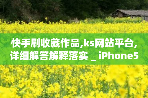 快手刷收藏作品,ks网站平台,详细解答解释落实 _ iPhone54.67.199-第1张图片-靖非智能科技传媒