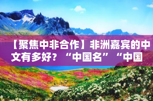 【聚焦中非合作】非洲嘉宾的中文有多好？“中国名”“中国菜”“中国造”张口就能来-第1张图片-靖非智能科技传媒