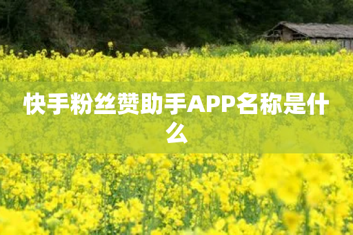 快手粉丝赞助手APP名称是什么-第1张图片-靖非智能科技传媒