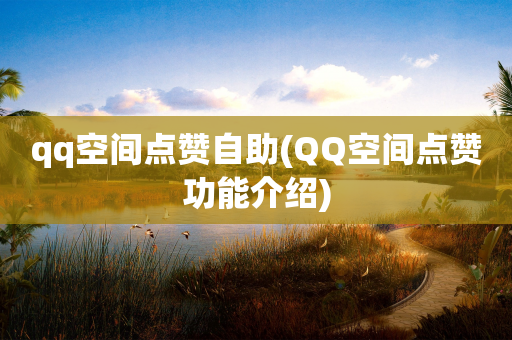 qq空间点赞自助(QQ空间点赞功能介绍)