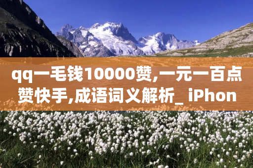 qq一毛钱10000赞,一元一百点赞快手,成语词义解析_ iPhone34.2.44