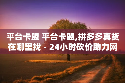 平台卡盟 平台卡盟,拼多多真货在哪里找 - 24小时砍价助力网 - 拼多多砍价买神器-第1张图片-靖非智能科技传媒