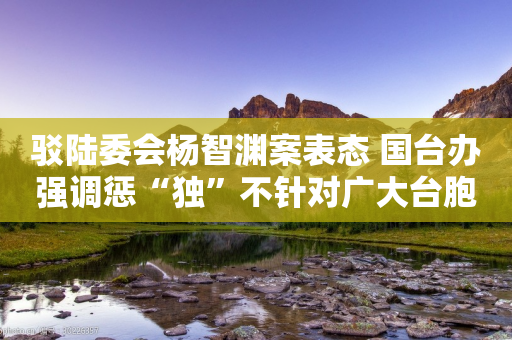 驳陆委会杨智渊案表态 国台办强调惩“独”不针对广大台胞