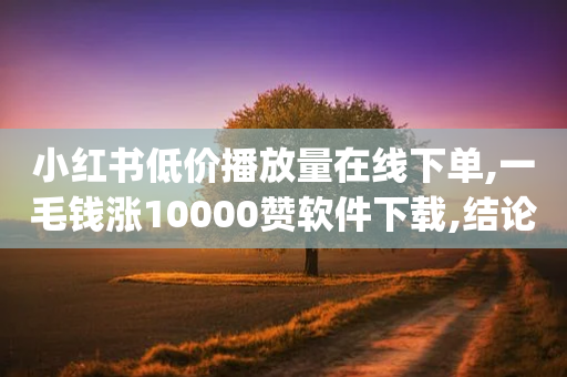 小红书低价播放量在线下单,一毛钱涨10000赞软件下载,结论释义解释落实 _ VIP345.324.137