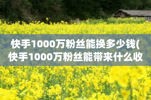 快手1000万粉丝能换多少钱(快手1000万粉丝能带来什么收益)